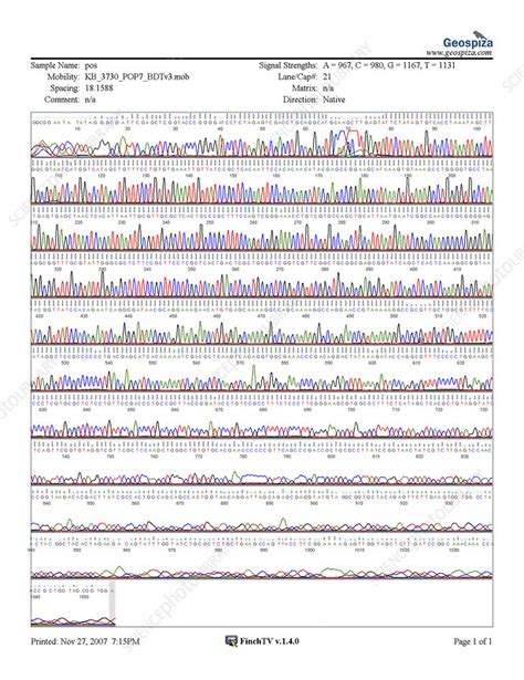 Image result for What Is DNA Analysis