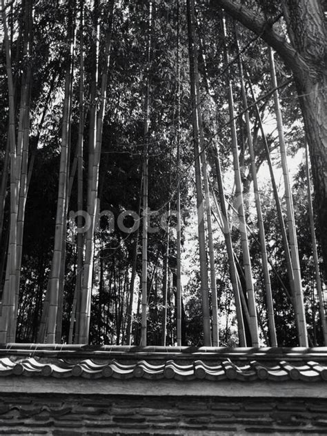 Image result for Negative String Slicing in Python