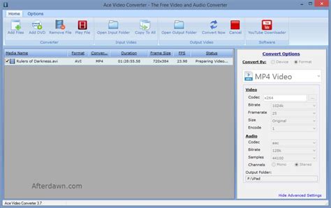 Convert Video Format Input Ace 的图像结果