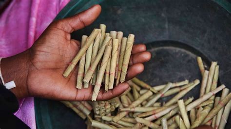 The Tobacco Trap: Why tobacco control missteps worry India’s doctors ...