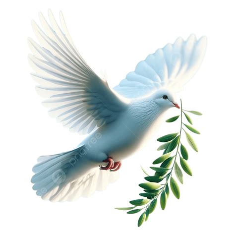 Peace Dove White Dove Olive Branch Illustration, Peace Dove, White Dove ...