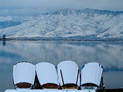 Jannat-e-Kashmir: Dazzling Images From Kashmir Valley After Snowfall