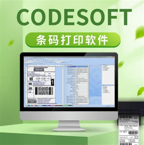 Code Soft SQL 的图像结果