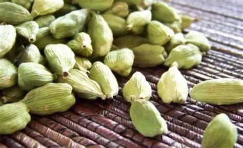 Elaichi benefits astrology cardamom remedy dhan prapti ke liye elaichi ...