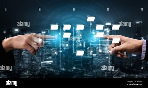 Local File Structure 的图像结果