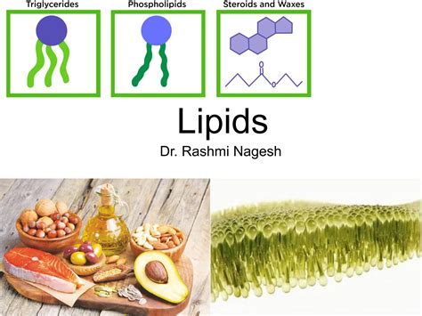 Biological Macromolecule - Lipids - Introduction | PPT