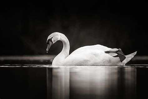 Composition and Light Photography Workshop with Daniel Bridge ...