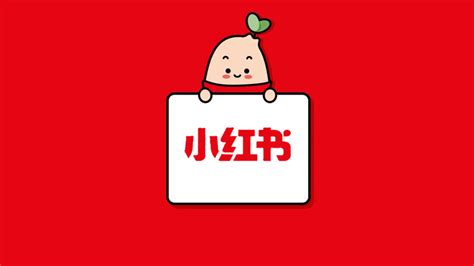 「logo临摹」小红书logo设计_媒有数-站酷ZCOOL