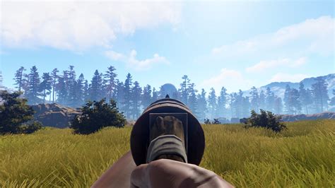 Image result for Rust New Gun
