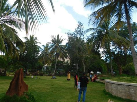 Pyramid Valley International (Bengaluru) - 2021 What to Know Before You ...