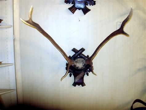 Monumental Black Forest Stag Antler Mount on Carved Wood Plaque at 1stDibs