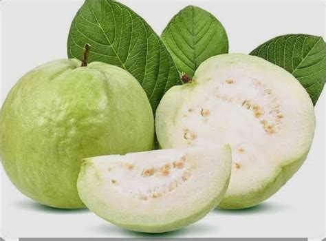 Fresh Guava Exporter,Wholesale Fresh Guava Supplier from Pune India