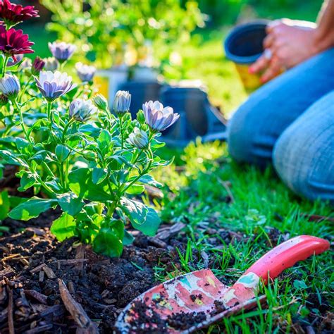 How to Choose the Best Flower Bed Mulch | Family Handyman