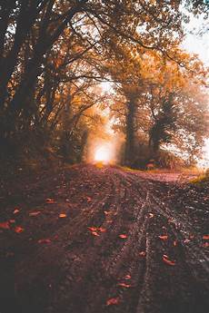 Background Images by 900 Nature Background Images Hd Backgrounds On Background Images