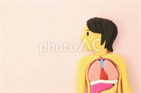Image result for Poly Modeling Tutorials