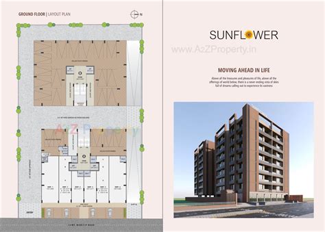 Sunflower | at Shilaj, Ahmedabad