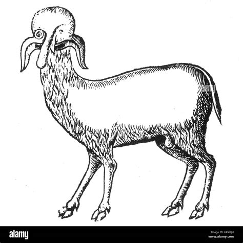 Half Man Half Goat High Resolution Stock Photography and Images - Alamy