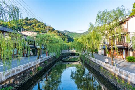 Image result for PowerShell Polynesia