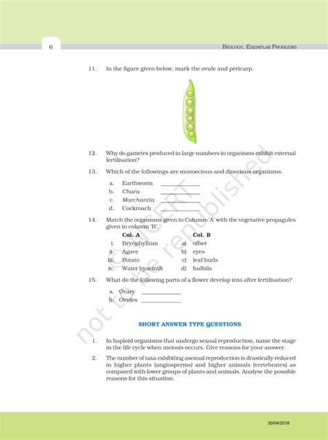 NCERT Exemplar Class 12 Biology Chapter 1 - Reproduction in Organisms