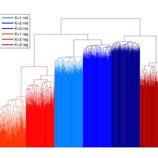 Image result for Random Boolean Networks
