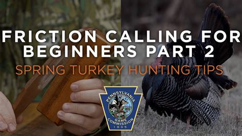 Image result for Spring Turkey Calling Tips
