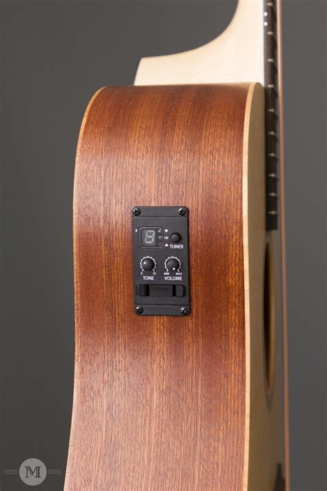 Taylor Acoustic Guitars - Academy 10e | Mass Street Music