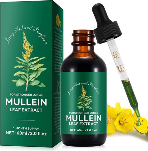 Amazon.com: ONEBTANICL Mullein Drops for Lungs - Mullein Leaf Extract Support Lung Cleanse and ...