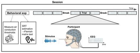SparrKULee: A Speech-Evoked Auditory Response Repository from KU Leuven ...