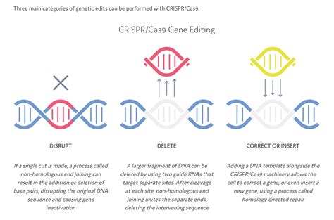Rezultat imagine pentru CRISPR Explained