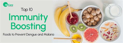20 Best Immune Boosting Foods to Prevent Dengue and Malaria