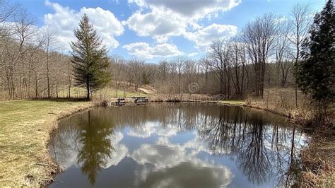 Image result for Spring Pond Reflection