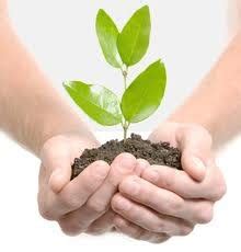 Research and Development | INTERNATIONAL SERICULTURAL COMMISSION