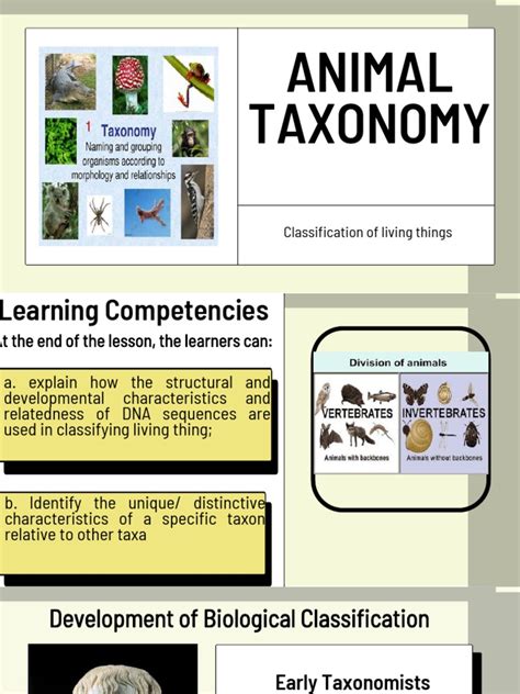 Image result for Taxonomy Basics