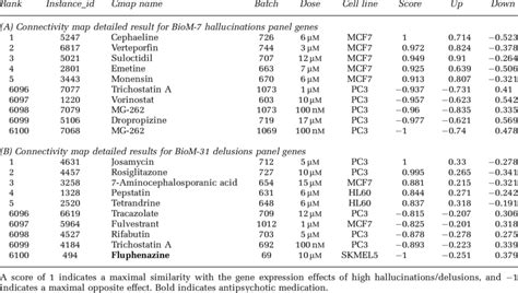 Connectivity Map 的图像结果
