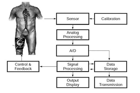 Beginner Guide to Biomedical Sensors – Robocraze