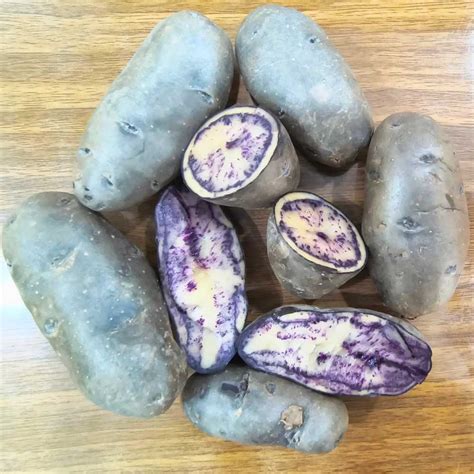 Buy Best Quality Black Potato Seeds For Kitchen/Terrace Gardening (900g ...