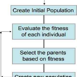Image result for Genetic Algorithm Mdel Sample Example Step by Step