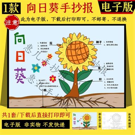 【二年级作文】《会跳舞的向日葵》读后感_300字-Word模板下载_编号qdrdmdmk_熊猫办公