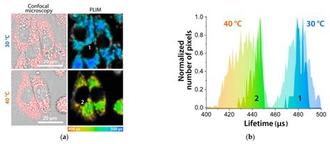 Polymeric Nanoparticles with Embedded Eu(III) Complexes as Molecular ...