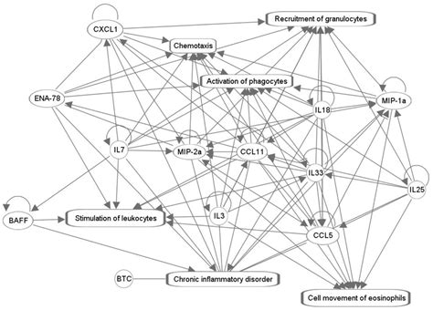 Fentanyl Overdose Causes Prolonged Cardiopulmonary Dysregulation in ...
