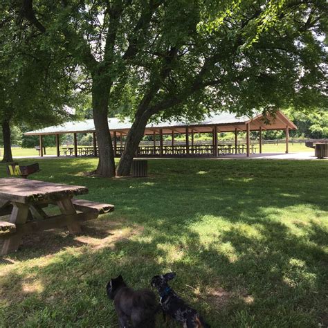 Old Hickory Beach Camping | Old hickory, TN