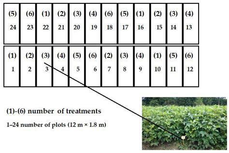 The Influence of Sewage Sludge and Fly Ash Fertilization on the Total ...