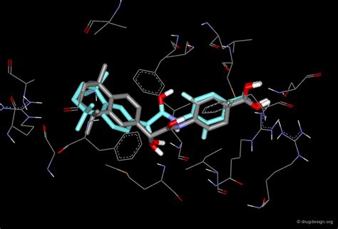 Image result for Molecular Docking Tutorial