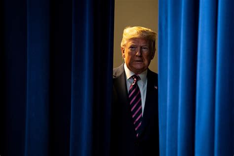 President Donald Trump 8K Wallpapers 的图像结果