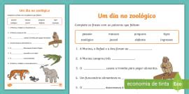 Atividade com Frases para o 2º Ano do Ensino Fundamental