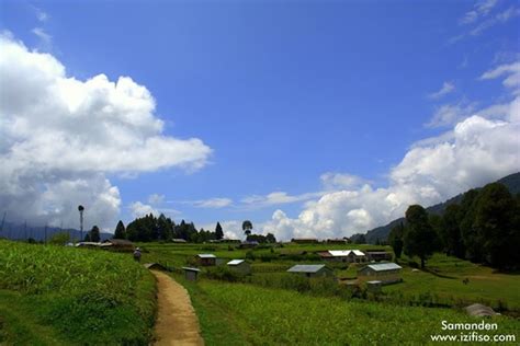 Singalila National Park, Singalila Forest, WB