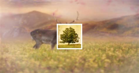 Obituary Guestbook | Walter "Pete" Miller Jr. | Vito C. Martucci ...