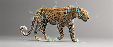 Image result for Rigging Tutorial