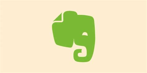 Evernote Tutorial 的图像结果