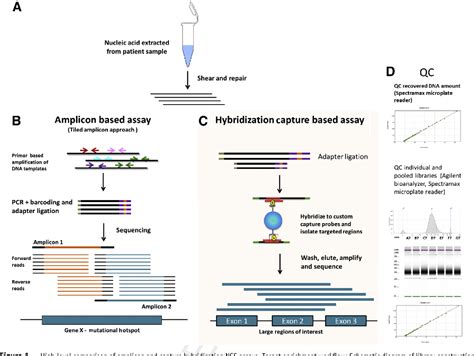 Next-Gen Sequencing 的图像结果